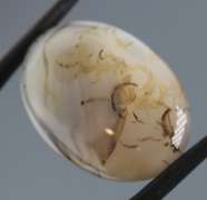 Stunning 18.47ct untreated patterned Agate