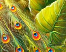 UNIQUE AND BEAUTIFUL PAINTING ON CANVAS