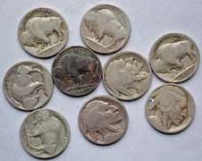 Slot Filler Mint Mark Early Buffalo Nickels
