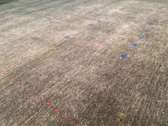 EXQUISITE FINE SUPER KAZAK  RUG 9x12