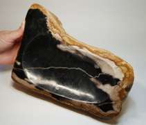 Statement piece! Petrified wood bowl weighing 2,740g