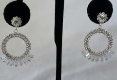 A Very Sexy  Fashion  Design Hoop Earrings