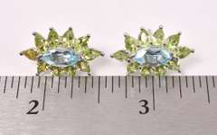 Striking Blue & Green Silver Earrings