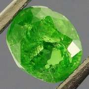 Collectors .74ct vivid kelly green Tsavorite Garnet