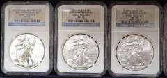 2011 25th Anniversary American Eagle Set PCGS 70