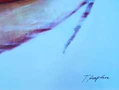UNUQUE BEAUTIFUL PAINTING ON CANVAS