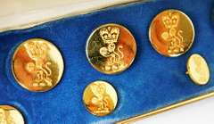 Vintage Boxed Set of Lion Crest Blazer Buttons