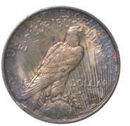 1922 Peace Silver Dollar - INSANE COLOR