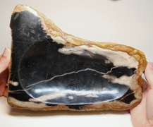 Statement piece! Petrified wood bowl weighing 2,740g