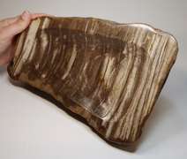Tiger striped! Petrified wood bowl weighing 3,312g