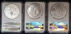 2011 25th Anniversary American Eagle Set PCGS 70