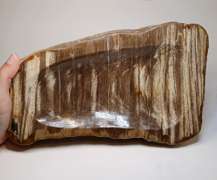 Tiger striped! Petrified wood bowl weighing 3,312g