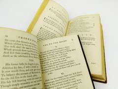 1790 Works of English Poets, 2 Volumes