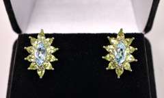 Striking Blue & Green Silver Earrings
