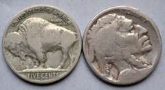 Slot Filler Mint Mark Early Buffalo Nickels