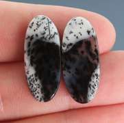 Exotic 20.82ct Turkish Dendrite Opal pair