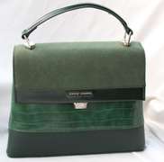 Stylish Designer Bag By David Jones-Paris
