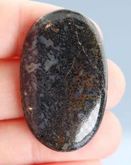 Exciting 42.56ct cabochon cut from dinosaur bone