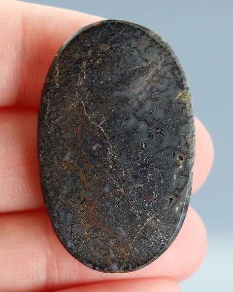 Exciting 42.56ct cabochon cut from dinosaur bone
