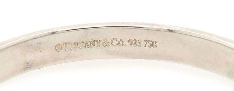 Tiffany & Co. Hinge Lock Bangle Bracelet in 18K and Sterling