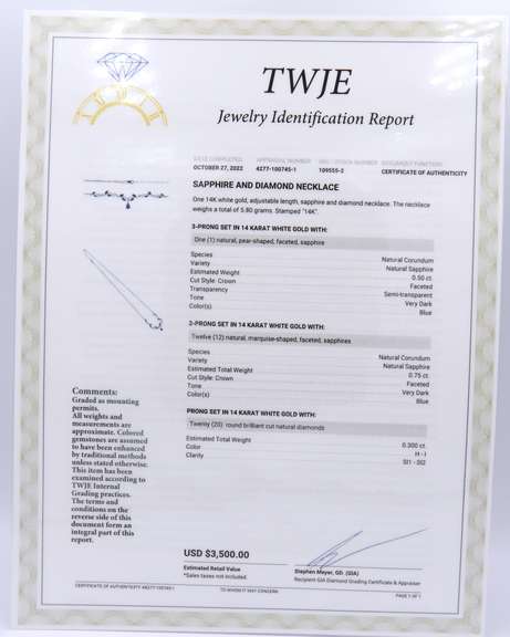 Majestic White Gold Blue Sapphire and Diamond adjustable Necklace