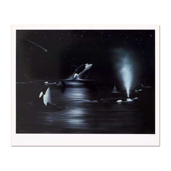 Orca Starry Night
