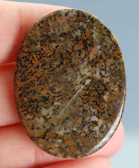 Awesome 54.48ct cabochon cut from dinosaur bone