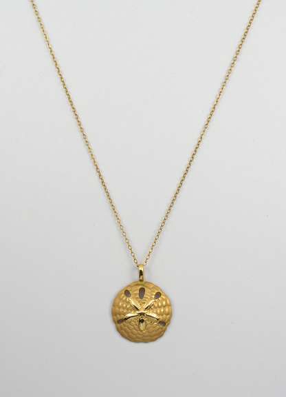 Sand Dollar Pendant on Necklace