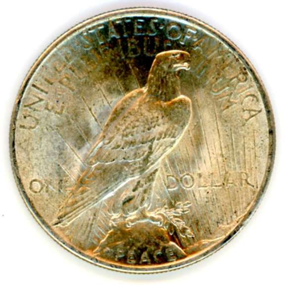 1925 Peace Silver Dollar