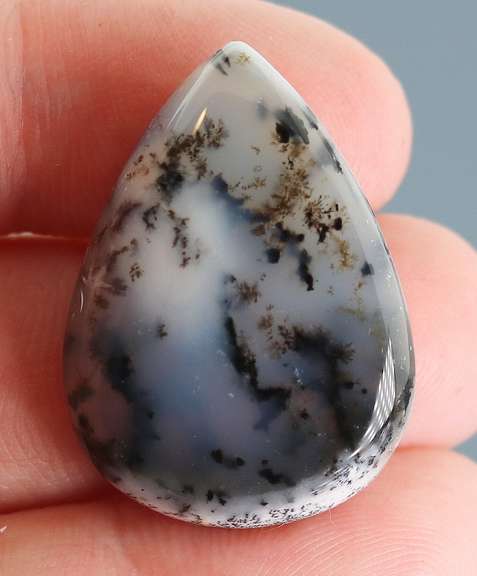 Dramatic! 29.16ct Turkish Dendrite Opal