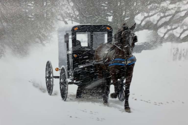 Winter In Washington Photogravure