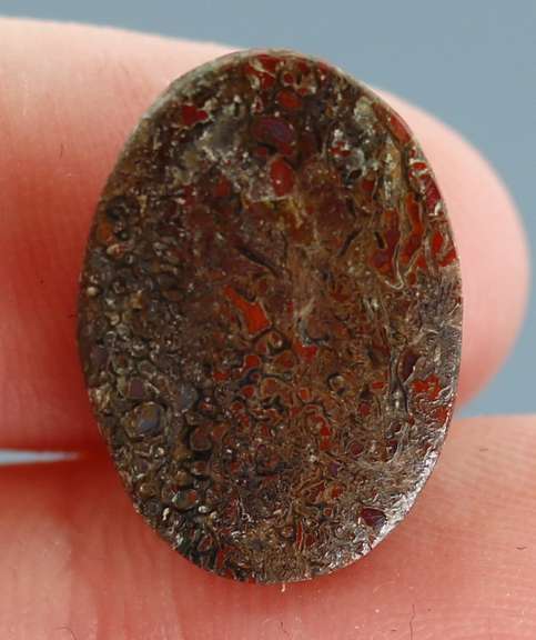 Tremendous 12.92ct cabochon cut from dinosaur bone