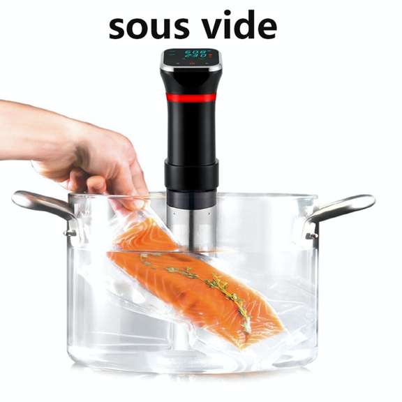 Sous Vide Machine Precision Cooker Slow Cooker