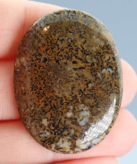 Awesome 54.48ct cabochon cut from dinosaur bone