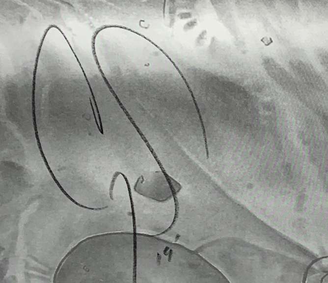 Oscar Cory Smith Hand Colored Print