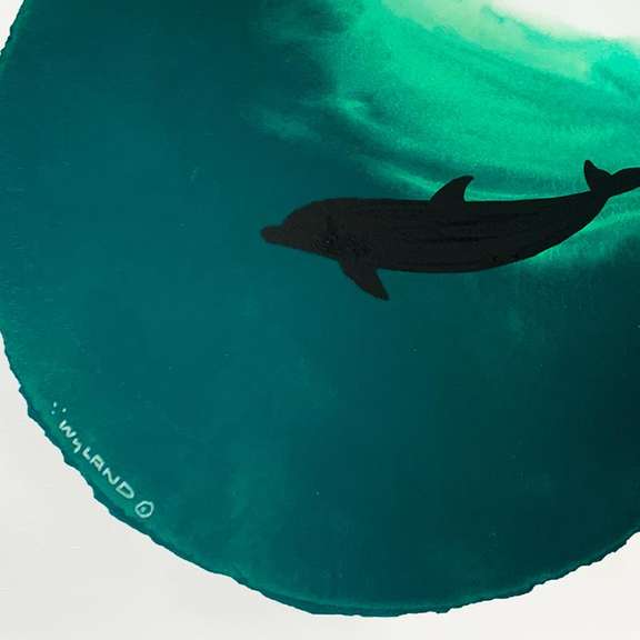 Dolphin Swimming Deep