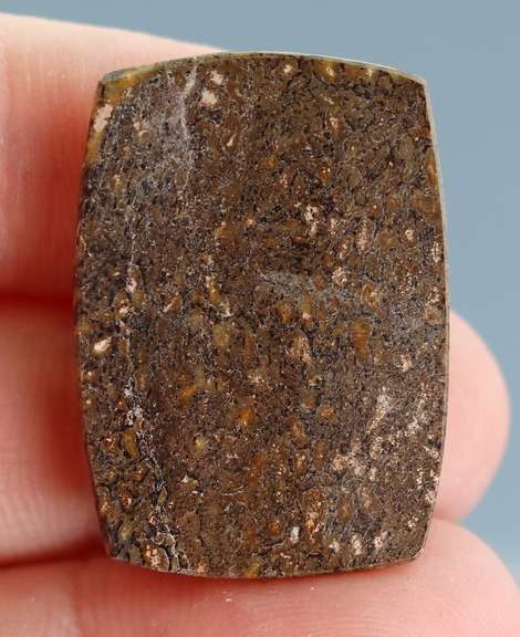 Rich 30.37ct cabochon cut from dinosaur bone