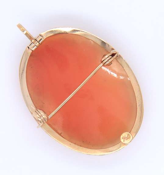 Fantastic Yellow Gold Shell Cameo Pin Pendant