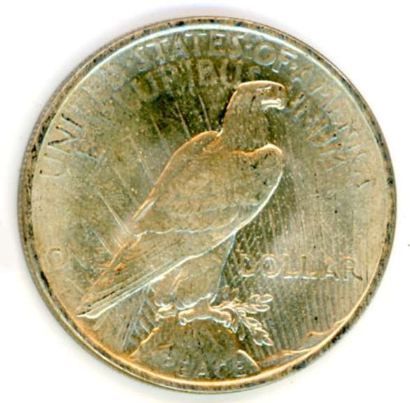 1924 Peace Silver Dollar