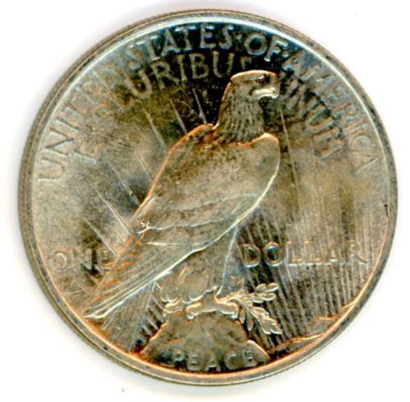 1924 Peace Silver Dollar