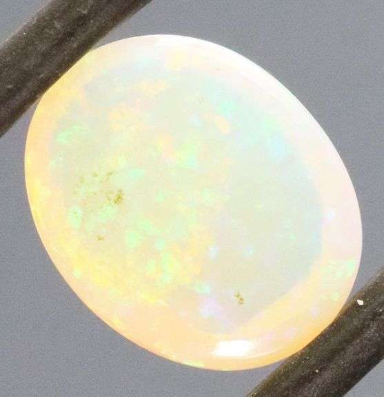 Floral fairy fire! 1.59ct Welo Jelly Opal