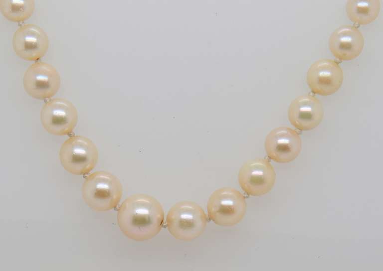 Graduated Seed Pearl Necklace