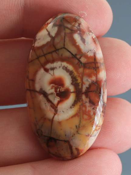 Stunning 43.80ct American Leopard Skin Jasper
