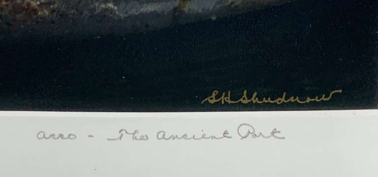 Sanford H Shudnow Original Photograph