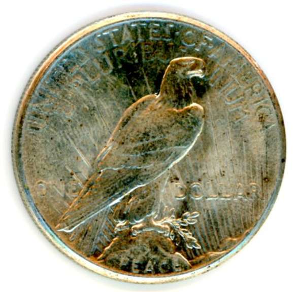 1925 Peace Silver Dollar
