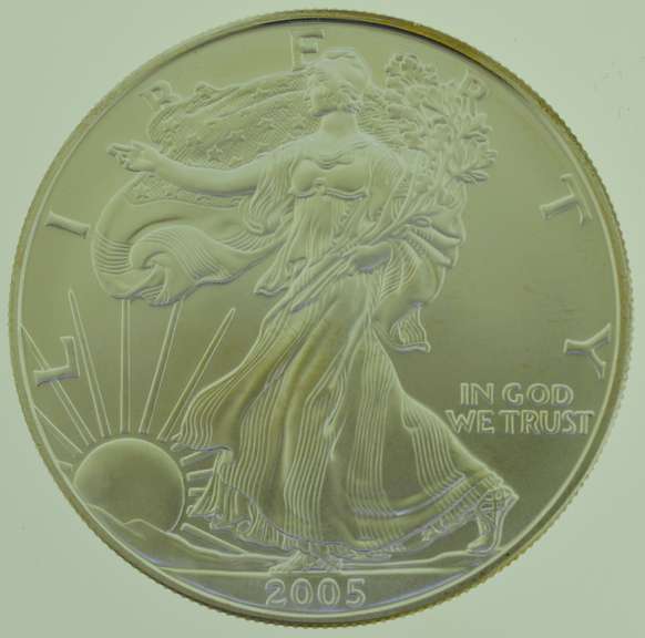 2005 1 oz Fine Silver one Dollar Eagle US Coin