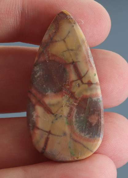 Stunning 39.93ct American Leopard Skin Jasper
