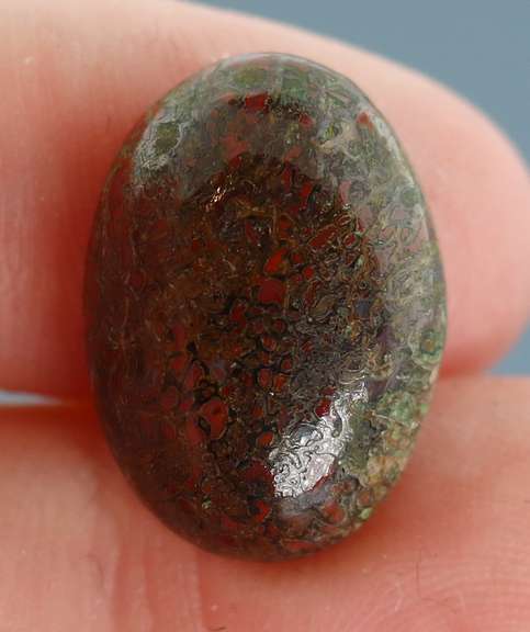 Tremendous 12.92ct cabochon cut from dinosaur bone