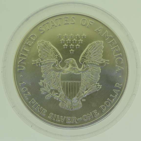 2000 1 oz Proof American Silver Eagle Colorized US Coin