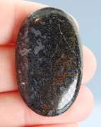 Exciting 42.56ct cabochon cut from dinosaur bone